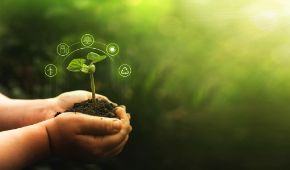 Picture for category Solutii cultivare